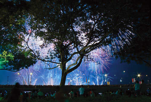Fireworks and Tree, Treewise LLC