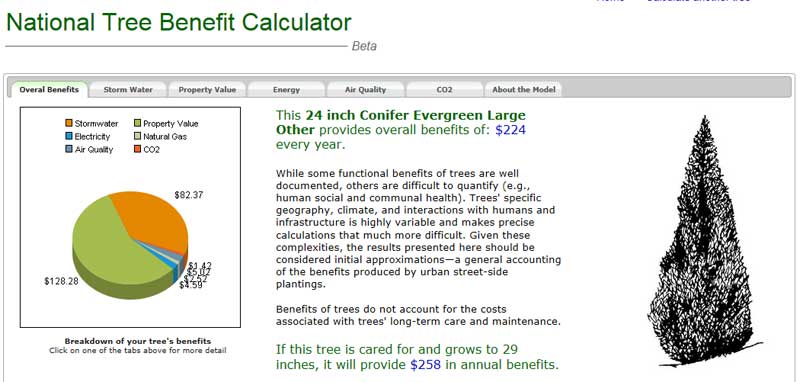 Tree Benefits Calculation