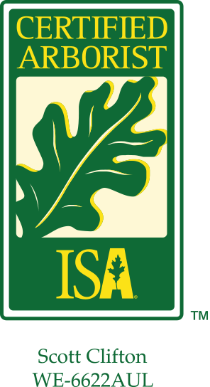 Certified Arborist, Scott Clifton, ISA