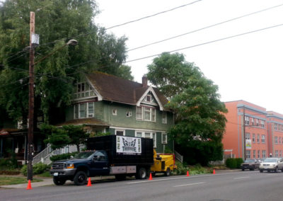 An image of tree pruning in SE, Portland