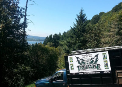 A Truck with Treewise Name and Logo